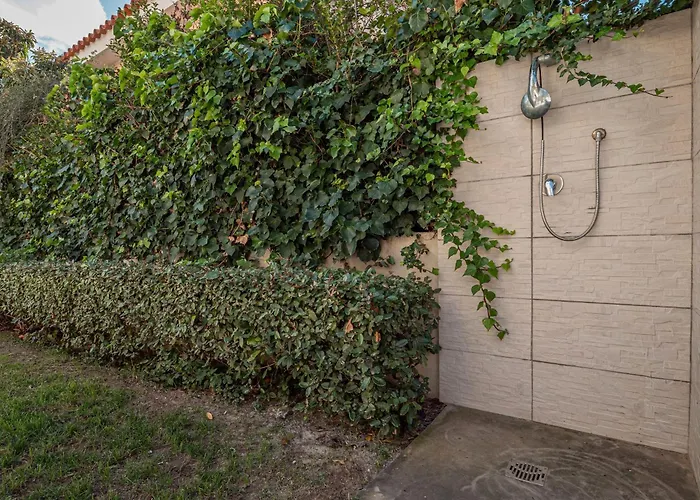 Cormorani 1 * Golfo Aranci