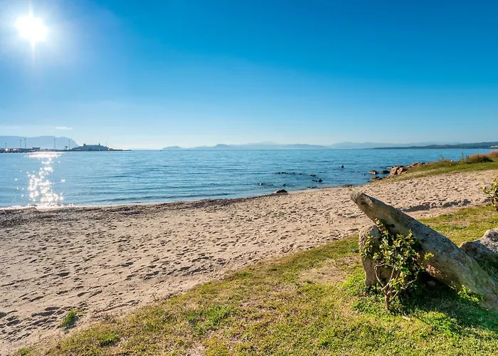 Nyaraló Cormorani 1