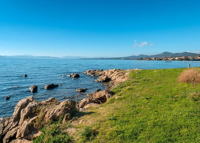 Cormorani 1 * Golfo Aranci